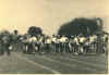 Barling School Sports Day July 1954 jpg.jpg (56068 bytes)