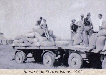Harvest on Potton Island 1941