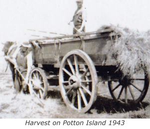 Harvest on Potton Island 1943