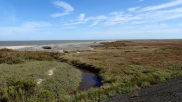 View from Landwick Point