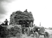 George Hume - Derek Shuttlewood - Anita on tractor with his brother Carlo Cripps