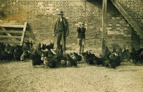 Craig Nicholls and Grandson Geoffrey Hume, East Newlands  Farm 1935