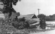 Duck pond1, Common Road, Great Wakering