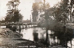 Postcard of Weir Pond, Barling - Shoeburyness Postmark - 8.45pm 27 November 1905 - Half Penny Stamp