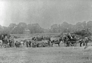 St Nicholas Church, Great Wakering Sunday School Outing on 2 horses & carts